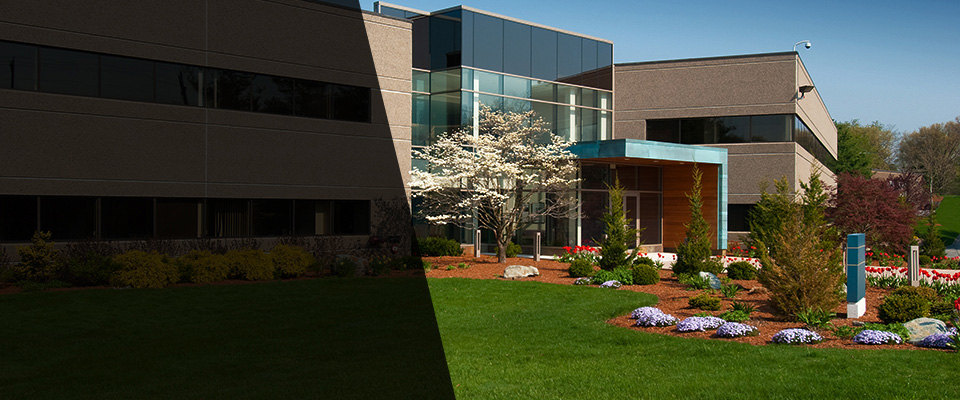 Oak Lawn Landscapers