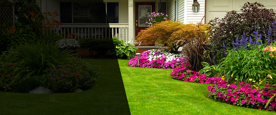 Oak Lawn Landscapers