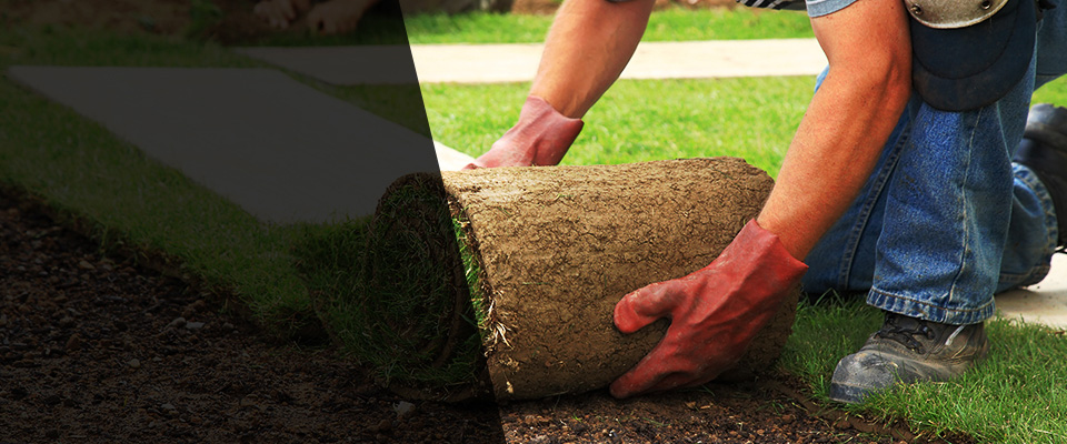 Oak Lawn Landscapers